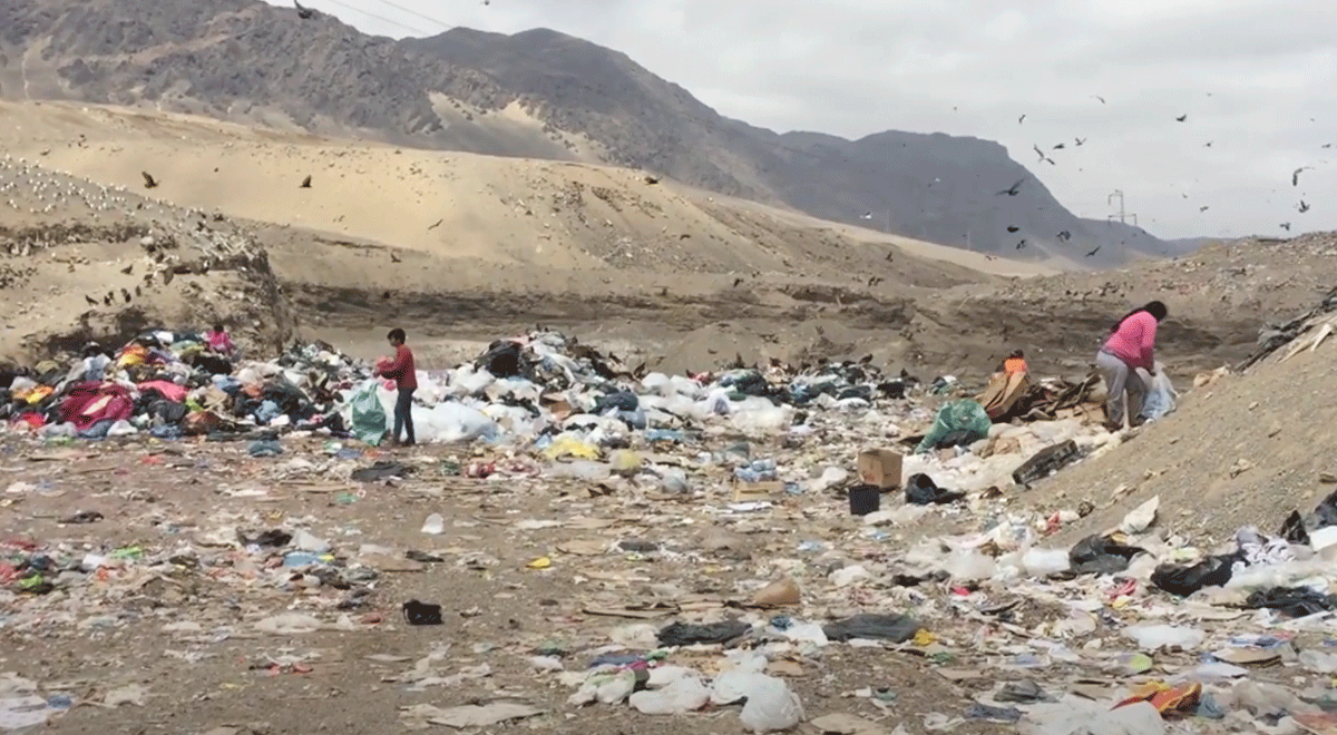  Al vertedero municipal van a parar cerca de 600 toneladas de basura al día, el lugar es un foco de riesgo sanitario, pero es el sustento de cientos de personas. 