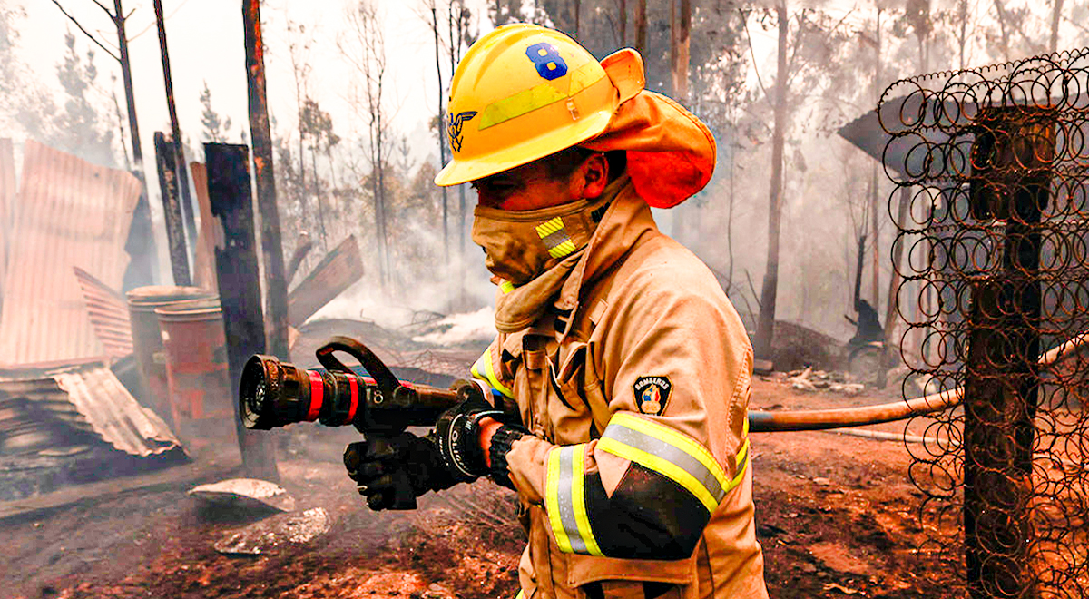 Te mostramos distintas iniciativas solidarias que se han desplegado para ir en ayuda de las cientos de familias damnificadas por los incendios en la zona Sur de nuestro país.