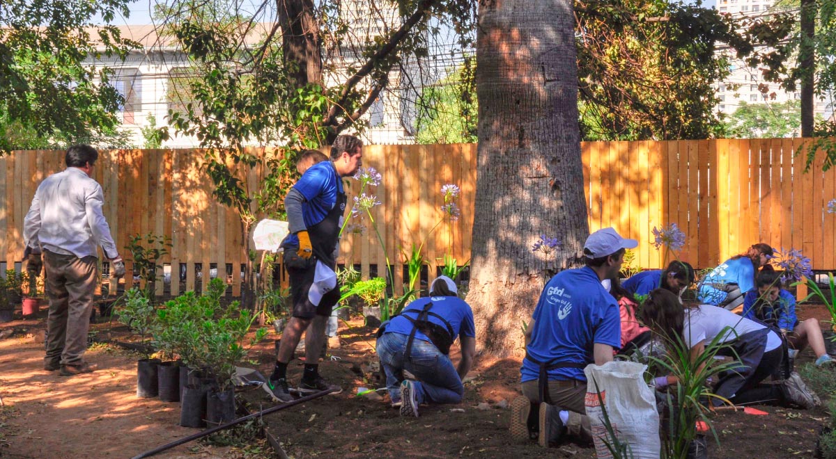 En la unidad de neuropsiquiatría infantil del Hospital Clínico dan Borja Arriarán, un oasis de la naturaleza ayuda a los pacientes a sanar.