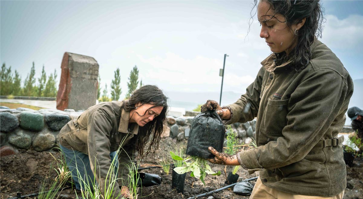  Naturaleza Pública es una fundación radicada en la Patagonia. Su misión es reforestar con especies autóctonas. Desde 2002 Chile pierde 30.000 hectáreas de bosque nativo por año. 